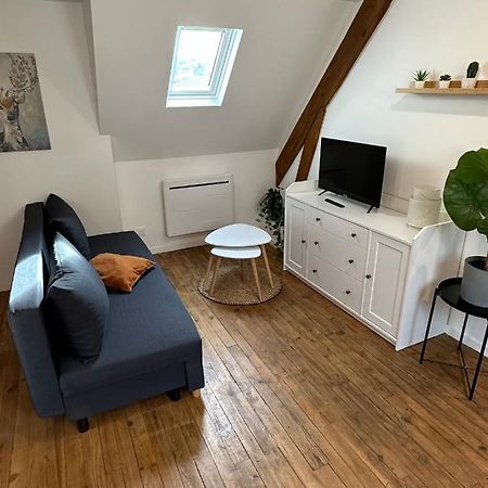 Superbe Appartement Mansarde Avec Mezzanine - Proche Centre Ville, Thermes, Aquensis Bagneres-de-Bigorre Ngoại thất bức ảnh